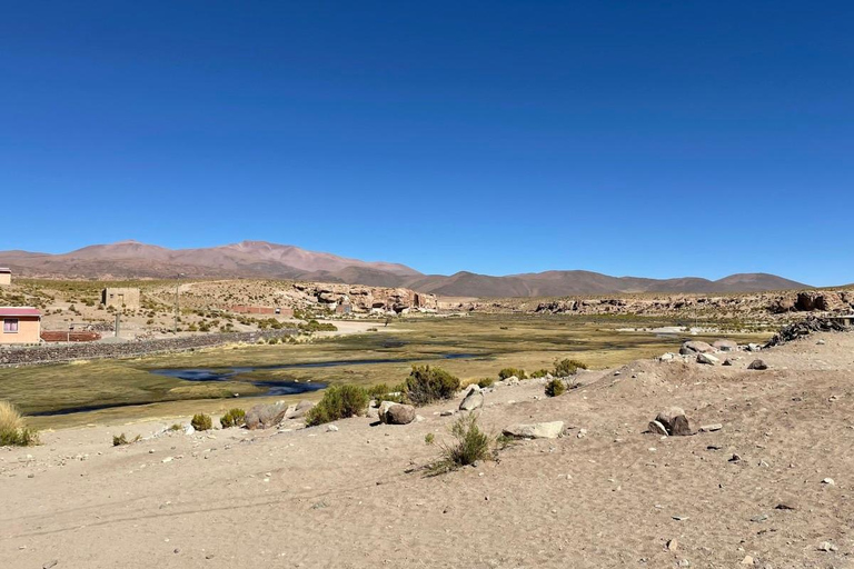 San Pedro de Atacama: 4-daagse Uyuni zoutvlakten tour