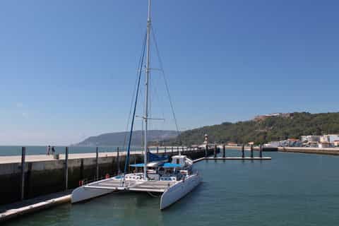 Full-Day Dolphin Watching Tour from Lisbon