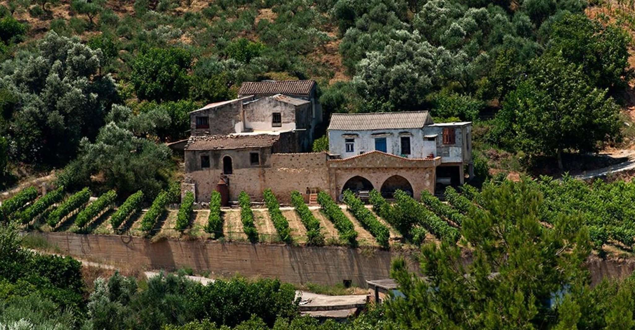 Chania, Milia Mountain Tour w/Lunch Olive Oil/Wine Tastings - Housity