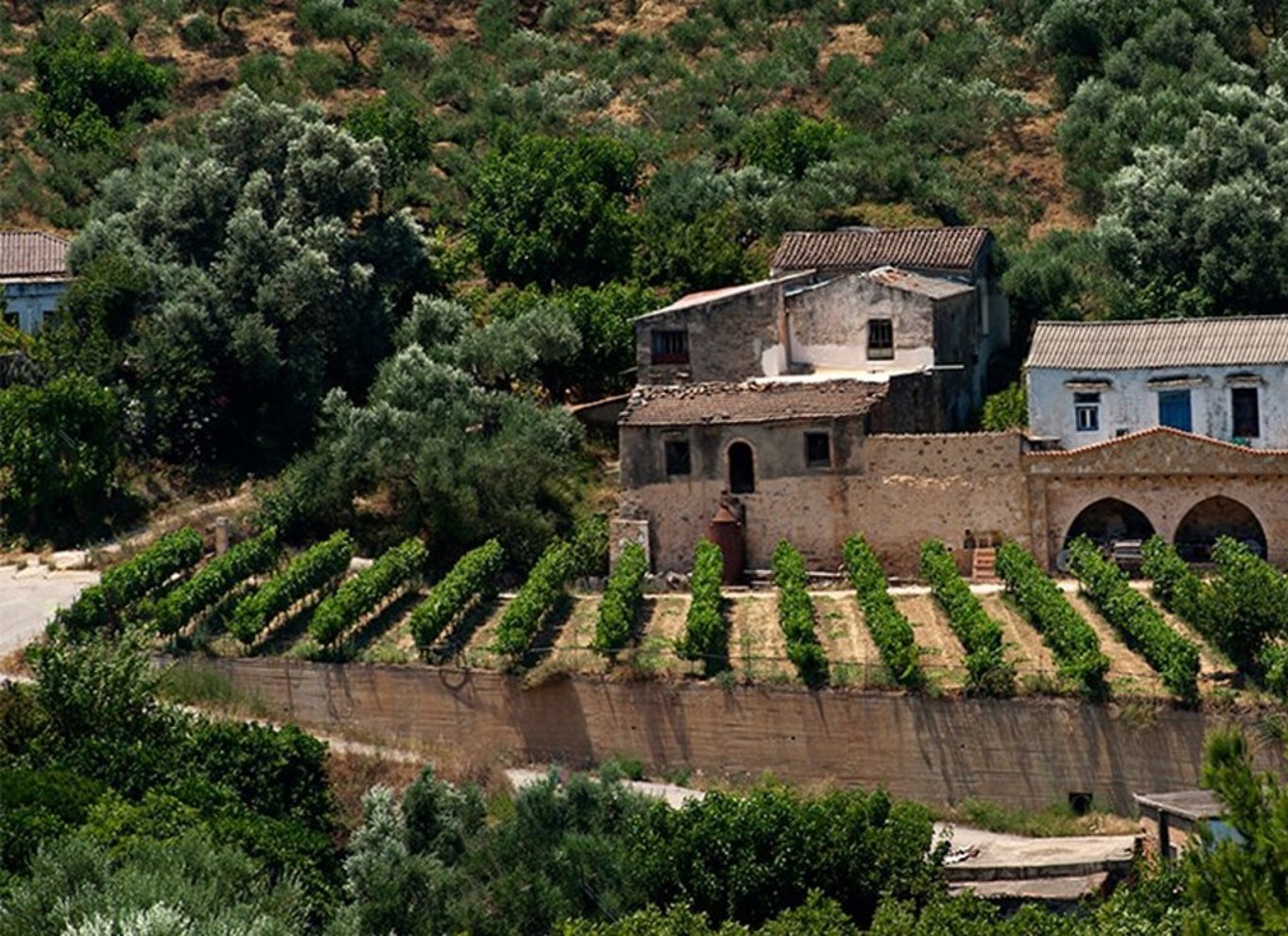 Chania: Milia-bjergtur med frokost og olivenolie/vinsmagning
