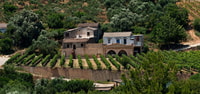Chania, Milia Mountain Tour avec le déjeuner Olive Olive Tastings - Housity