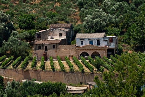 Chania: Olive Oil & Wine Tastings - Safari Tour with Lunch