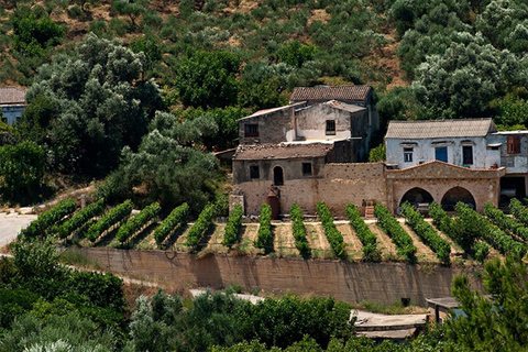 La Canée : Dégustations d'huile d'olive et de vin - Safari avec déjeunerLa Canée : Dégustations d'huile d'olive et de vin - Circuit safari avec déjeuner