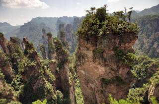 Zhangjiajie National Forest Park: Private Tagestour