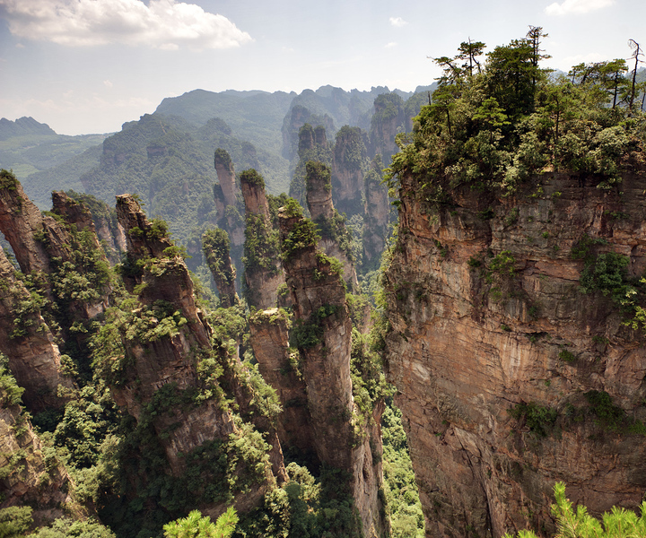 Zhangjiajie National Forest Park: Private Day Tour
