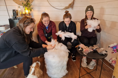 Reykjavik: Crea un mostro di lana islandeseReykjavik: Crea il tuo mostro di lana in un laboratorio privato