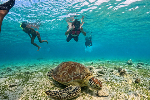 From Lombok: 3-Gili Islands Snorkeling with Turtles & Reefs Half-Day Private Snorkeling Tour from Gili Meno