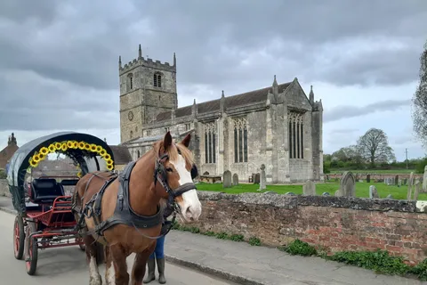 Horse drawn carriage ride and Picnic Hamper