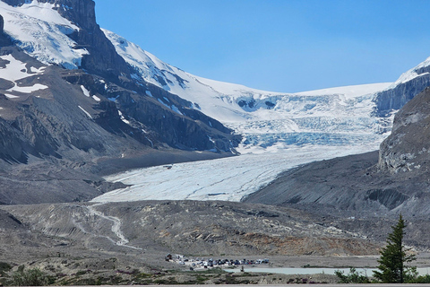 Canmore/Banff: Columbia Icefield, Skywalk, Peyto Day Tour
