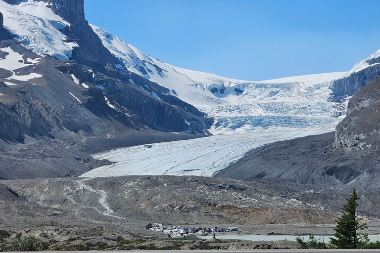 Canmore/Banff: Columbia Icefield, Skywalk, Peyto Day Tour