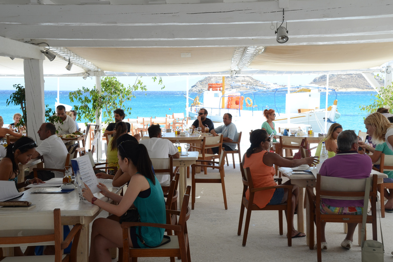 Mykonos : croisière sur la côte sud