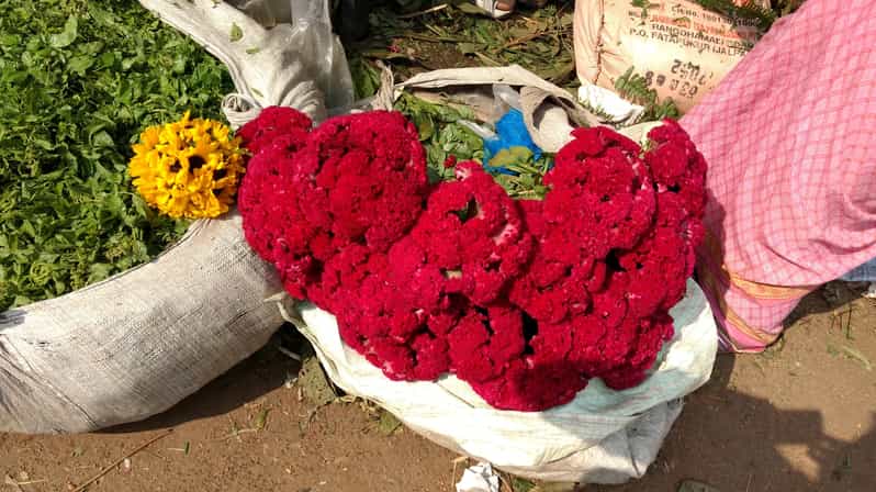Calcuta: tour de medio día por la mañana con mercado de flores