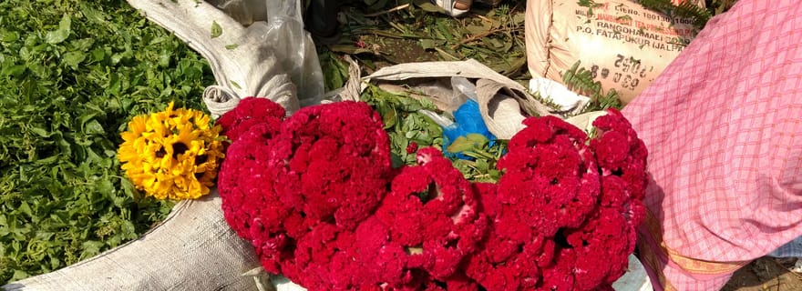 Kolkata : visite d'une demi-journée avec marché aux fleurs