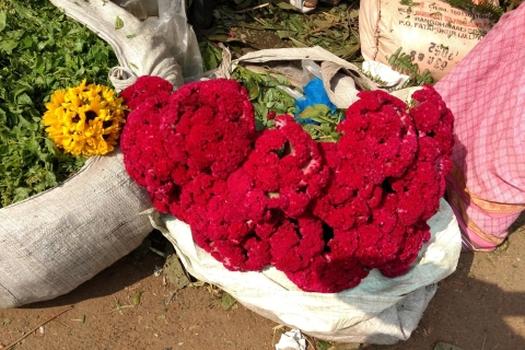Kolkata : demi-journée de visite matinale avec marché aux fleurs