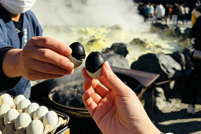 From Tokyo: Mt. Fuji & Hakone Private Day Trip with Driver
