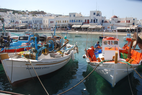 Excursión a la costa de Mykonos: Visita a la ciudad y la isla