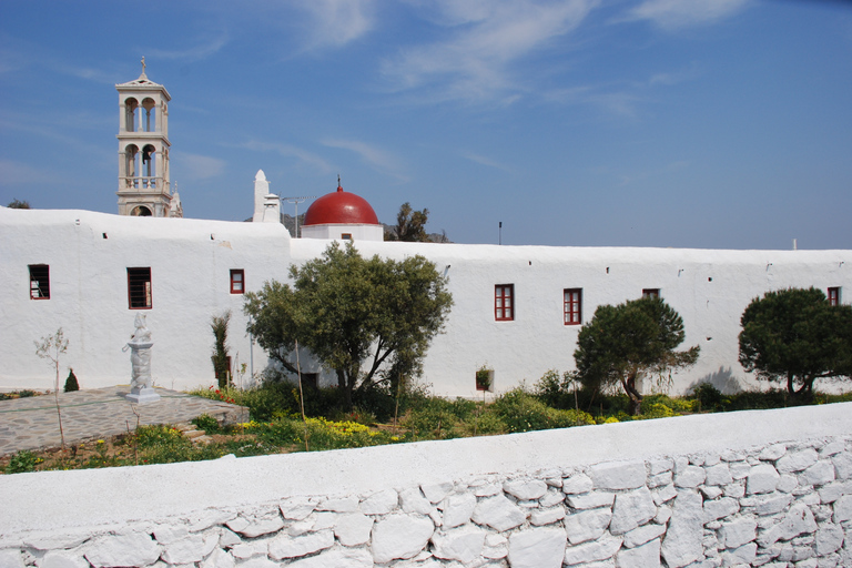 Excursion à terre à Mykonos : Tour de la ville et de l&#039;île