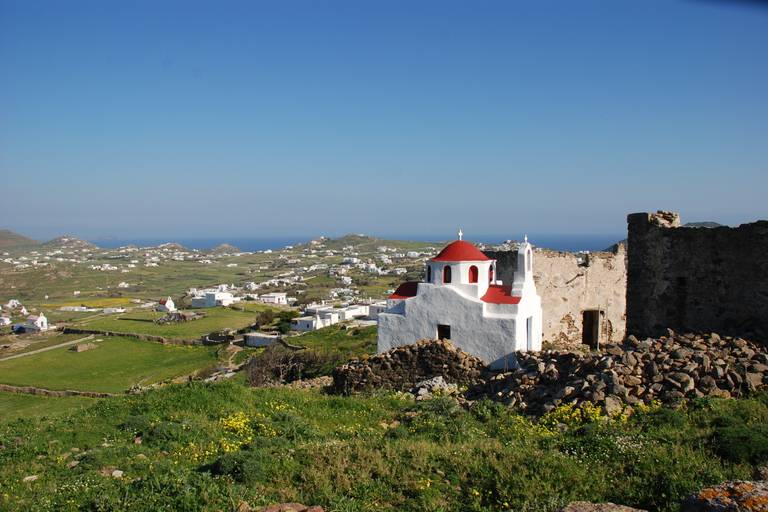 Excursion à terre à Mykonos : Tour de la ville et de l&#039;île