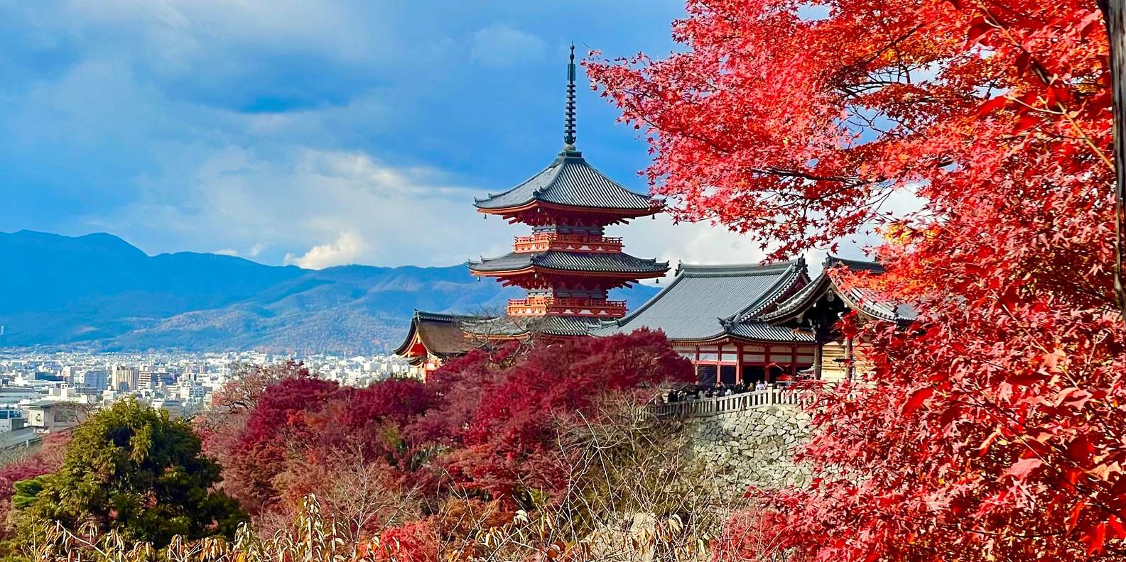 京都：伏見稲荷大社と清水寺（スペイン語ガイド） | GetYourGuide