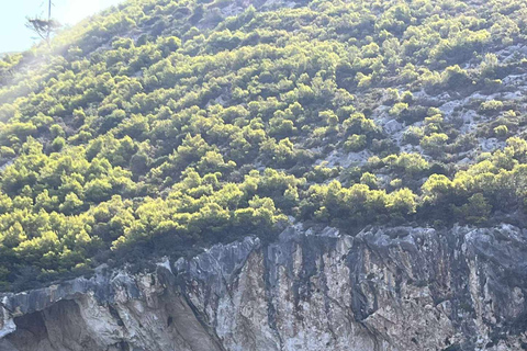 Zante: Crucero por la isla y las tortugas en EuroskyNaufragio Cuevas Azules e Isla de las Tortugas Cuevas Ceri