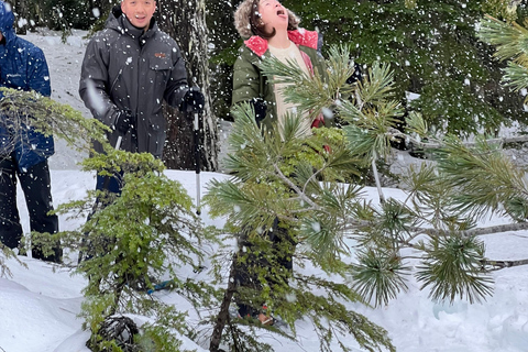 Snowshoeing At The Top Of The Sea To Sky Gondola