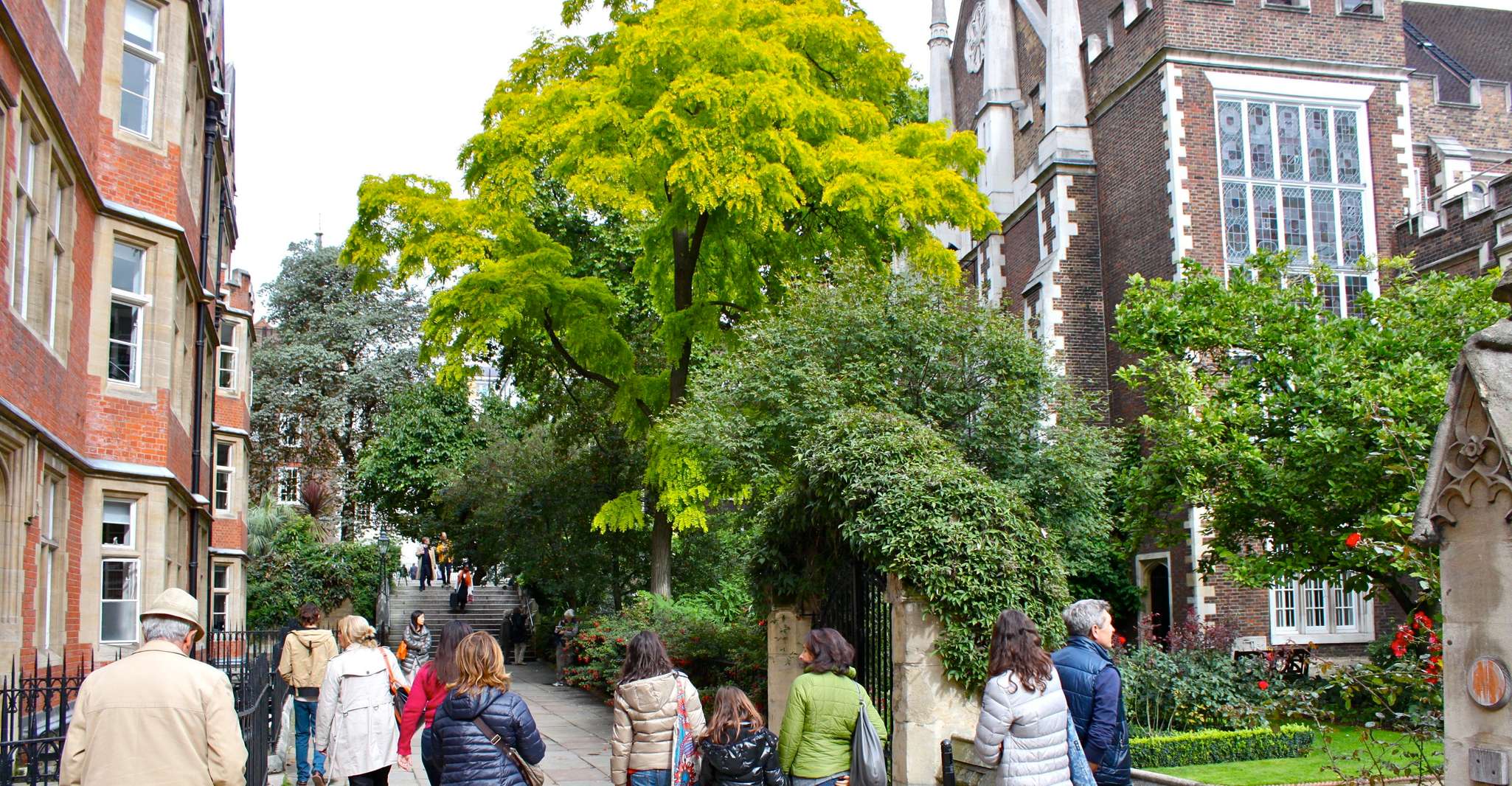 Tour in Italian: Temple, Twinings e Museo di Londr