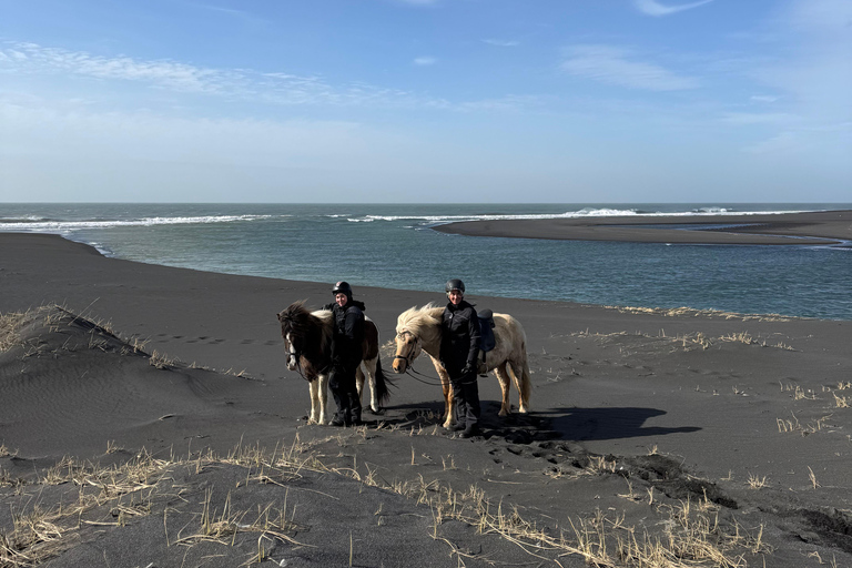 Südisland: Reiten am schwarzen Strand Tour