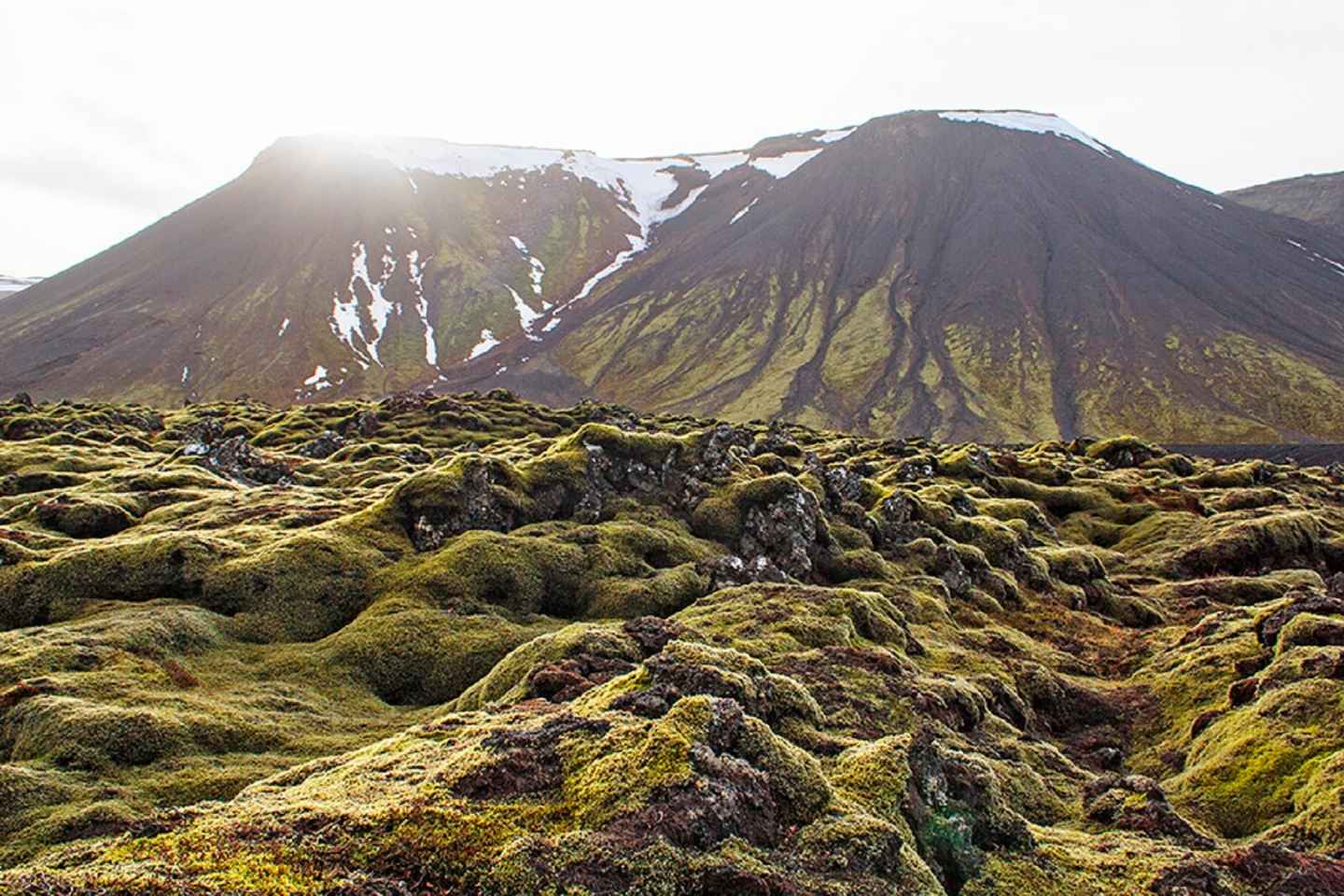 Grotta Leidarendi: Avventura nei Tunnel di Lava da Reykjavik