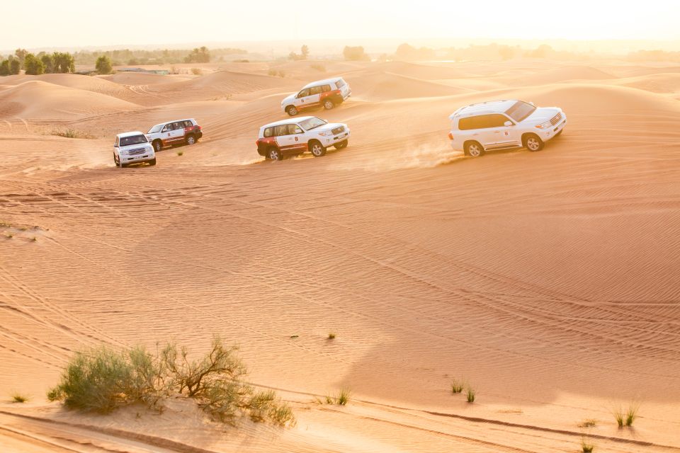 4WD Desert Safari Tour with BBQ Dinner and Live Show From Dubai