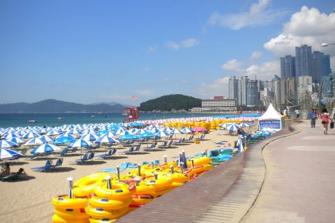Busan Private Tour with a Local 2-Hour Tour