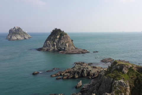 Busan Private Tour with a Local 5-Hour Tour