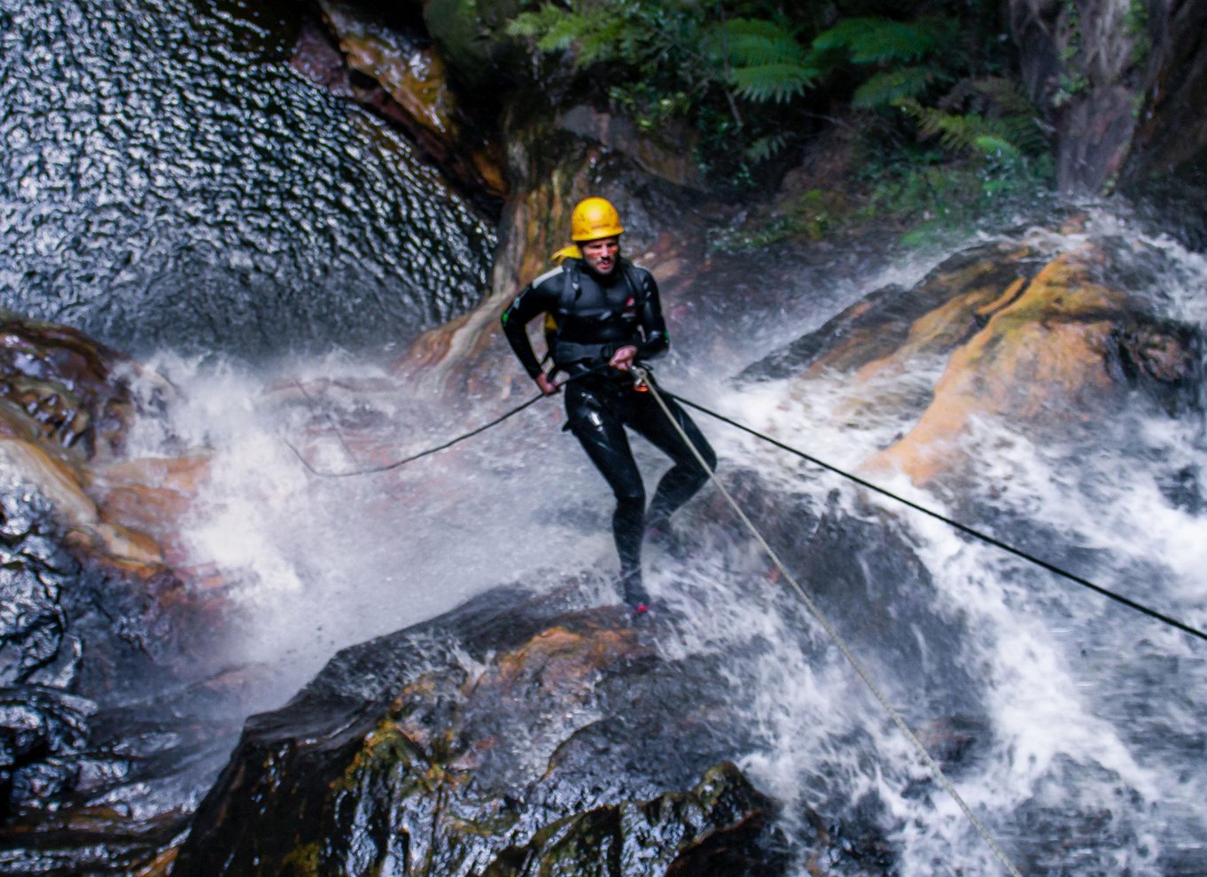 Blue Mountains: Abseiling og canyoning-oplevelse