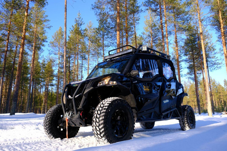 Helsinki: Buggy Ride, Reindeer Farm Visit, and Picnic