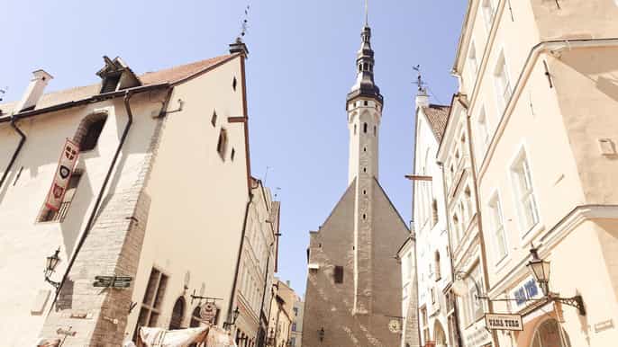 tallinn 2stündiger rundgang durch die altstadt