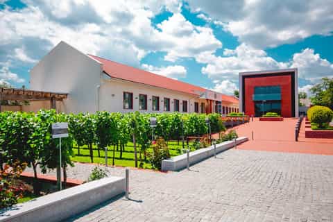 From Odessa: Half-Day Shabo Wine Culture Center Tour