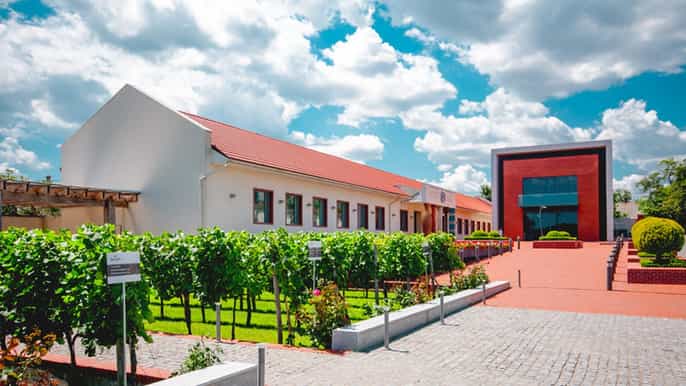 from odessa halfday shabo wine culture center tour