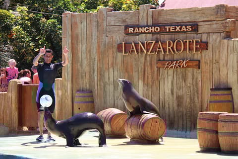 Rancho Texas Lanzarote Park Entrance Ticket