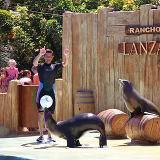Rancho Texas Lanzarote Park Entrance Ticket