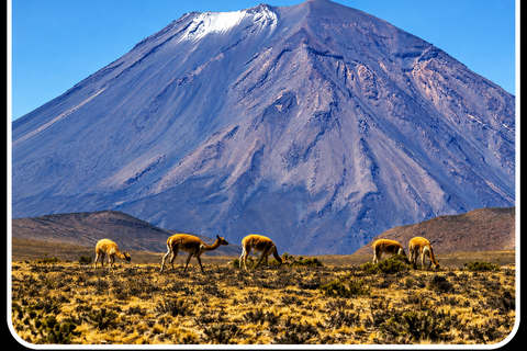 Arequipa: Colca Valley and Flight of the Condor – All-Inclusive Full Day Arequipa: Colca Valley and Flight of the Condor – Full-Day All-Inclusive