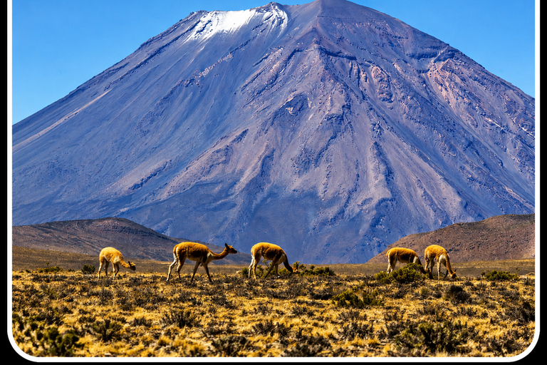 Arequipa: Colca Valley and Flight of the Condor – All-Inclusive Full Day Arequipa: Colca Valley and Flight of the Condor – Full-Day All-Inclusive