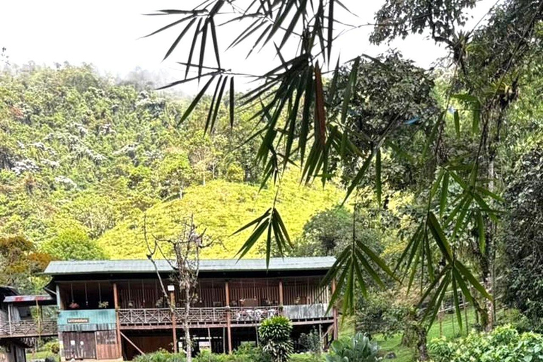 Cali: El Alemán Waterfall Hike in Farallones Park
