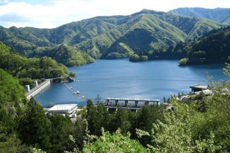 Hidden Tokyo: Nature, Sake & Little Edo Escape