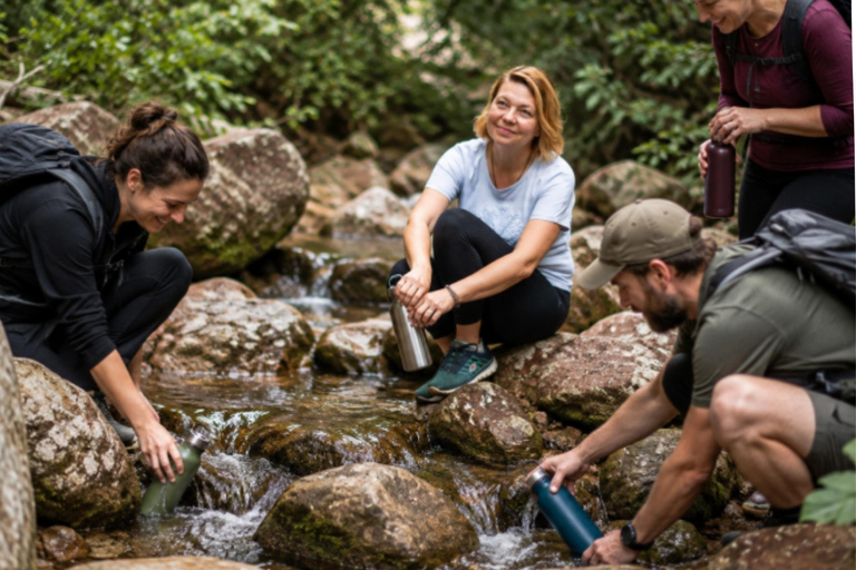 Bled: Guided Forest Meditation and a Personal Spirit Message