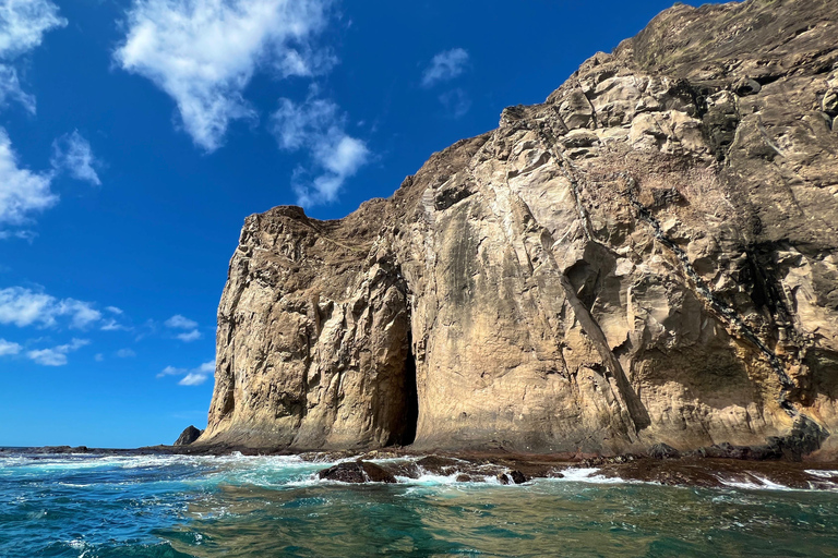 Day Tour 360 + Kicker Rock San Cristobal Highlight