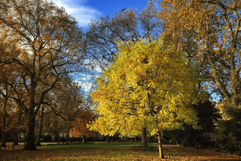 Excursão literária a pé por Londres (Bloomsbury)