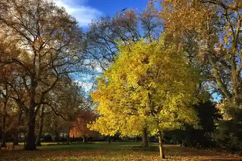 Literarischer Rundgang durch London (Bloomsbury)