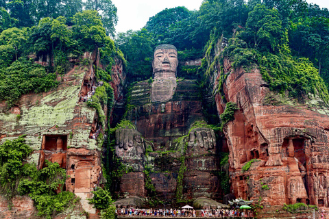 成都熊猫基地和乐山大佛之旅
