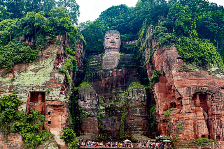 成都熊猫基地和乐山大佛之旅
