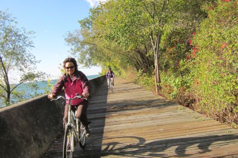 Isole di Toronto: tour in bici di 3,5 ore al mattino o al crepuscolo