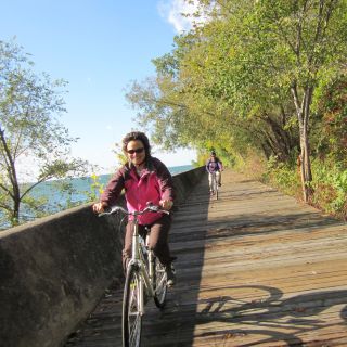 Toronto-eilanden: fietstocht van 3,5 uur, ochtend of schemer